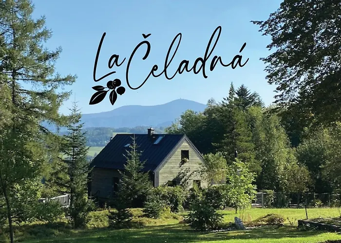 Laceladna - Tinystudio